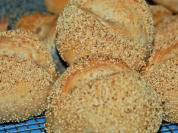 MOHNBRÖTCHEN - Rezept - Bild Nr. 3