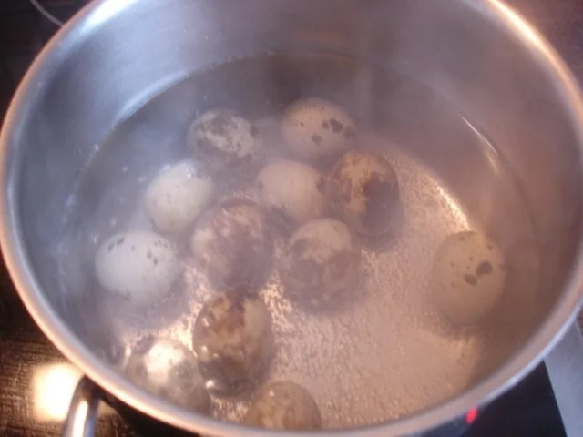 Wachteleier in Sauce - Rezept - Bild Nr. 3