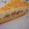 Backen: Abgestürzter Rhabarber-Quark-Kuchen - Rezept