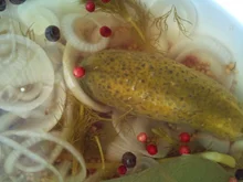 Brühgurken (Sachsen Anhalt, Sachsen, Thüringen) - Rezept