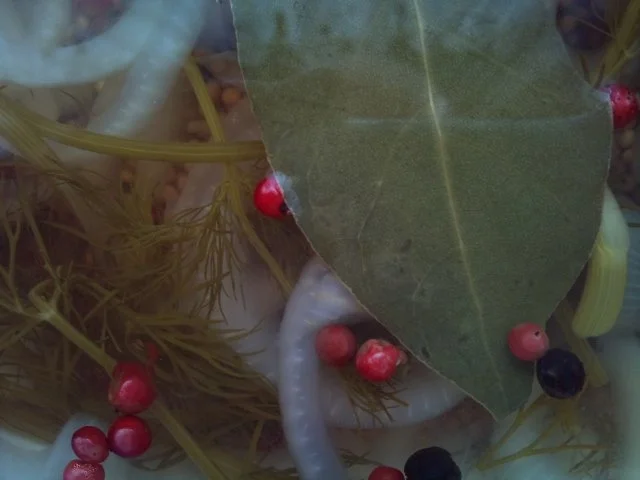 Brühgurken (Sachsen Anhalt, Sachsen, Thüringen) - Rezept - Bild Nr. 2