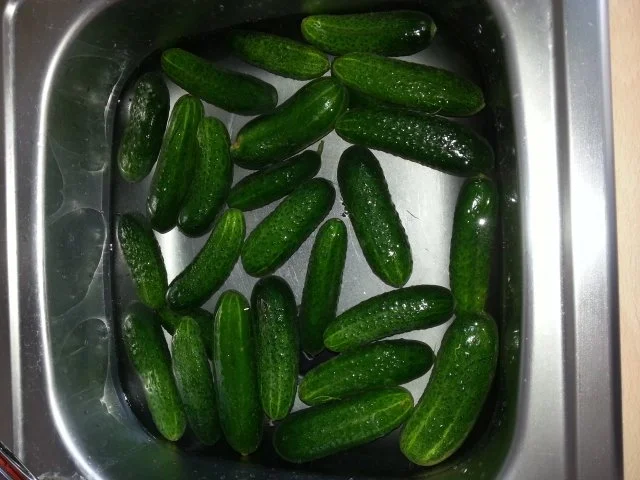 Brühgurken (Sachsen Anhalt, Sachsen, Thüringen) - Rezept - Bild Nr. 3