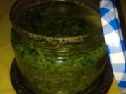 Bärlauch-Pesto - Rezept