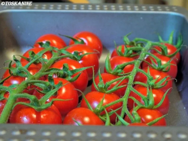 Panierte Rotbarschfilets mit Pastis-Sauce und Vanille-Tomaten - Rezept - Bild Nr. 6