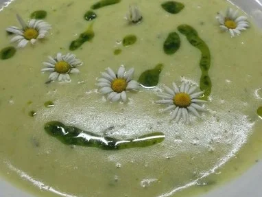 Gänseblümchen-Suppe - Rezept