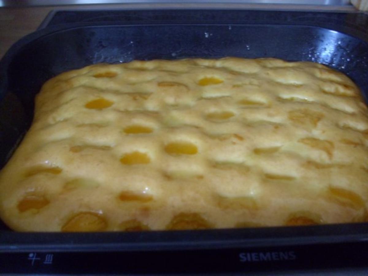 Mandarin-Orangen-Kuchen - Rezept - Bild Nr. 8