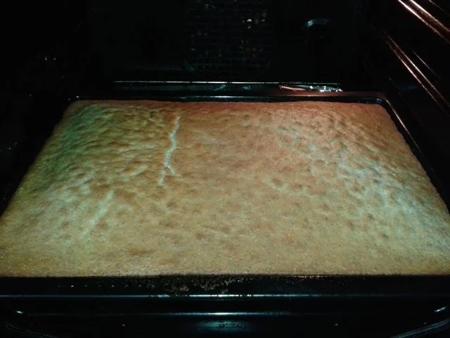 Rezept: MOHNKUCHEN mit SAHNE-SCHMAND und SCHOKOLADENÜBERZUG Bild Nr. 4 MOHNKUCHEN mit SAHNE-SCHMAND und SCHOKOLADENÜBERZUG - Rezept - Bild Nr. 4