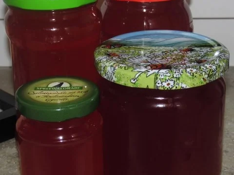 Rhabarber - Aperol - Gelee - Rezept