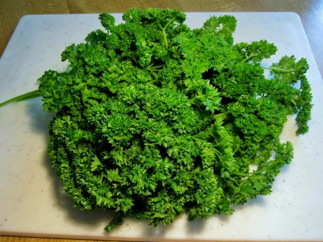 Petersilienpesto, wie ich es mag  ... - Rezept - Bild Nr. 2