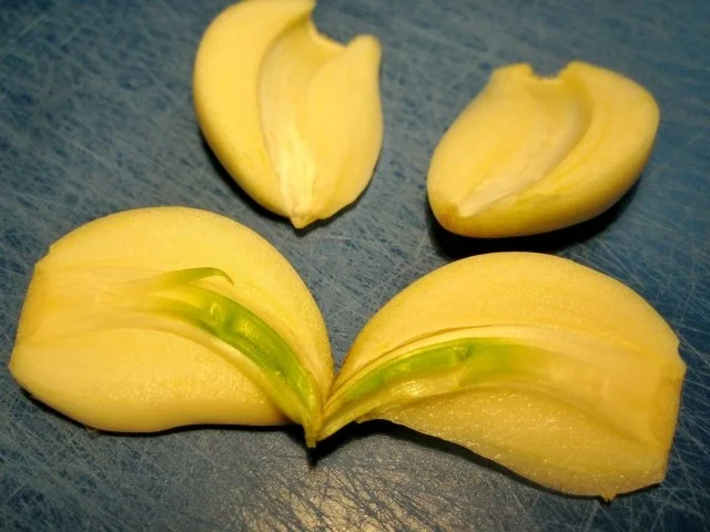 Petersilienpesto, wie ich es mag  ... - Rezept - Bild Nr. 6