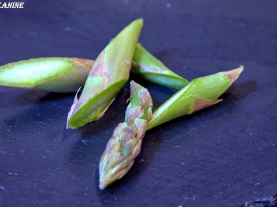 Kartoffel-Spargel-Pfanne mit Kürbiskern-Bouletten - Rezept - Bild Nr. 3