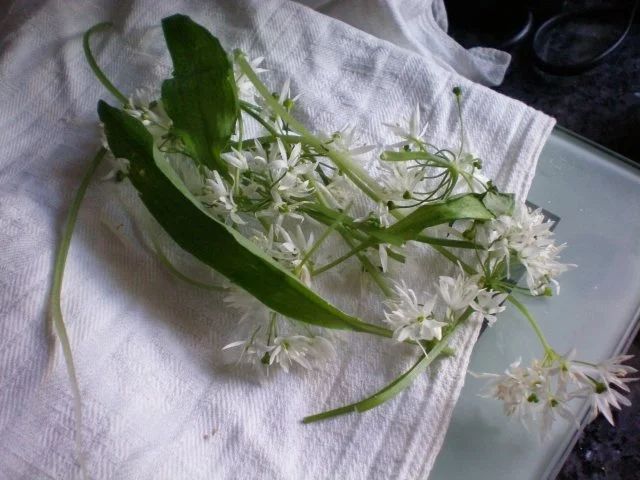 Salat: schwarze Bohnensalat mit Mais - Rezept - Bild Nr. 2