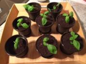 Graboswki lässt grüßen - Rezept