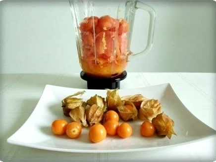 Rezept: Papaya – Physalis – Smoothie Bild Nr. 8 Papaya – Physalis – Smoothie - Rezept - Bild Nr. 8