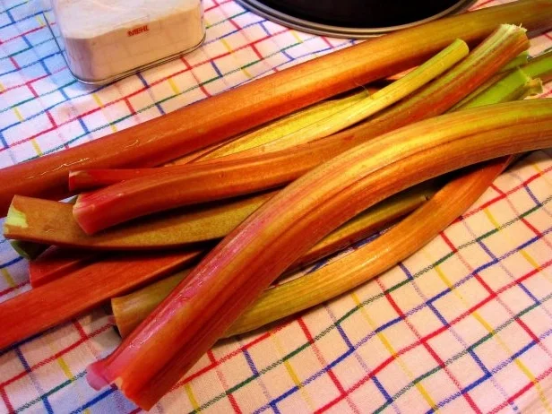 Einfaches Rhabarber-Kompott - Rezept - Bild Nr. 2