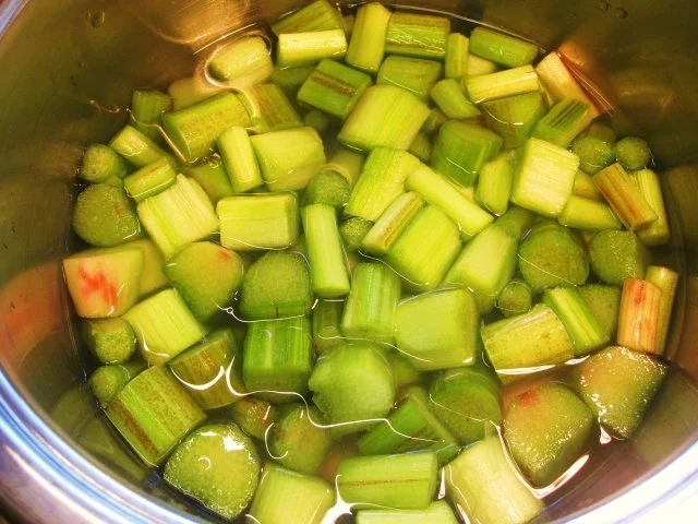 Einfaches Rhabarber-Kompott - Rezept - Bild Nr. 4