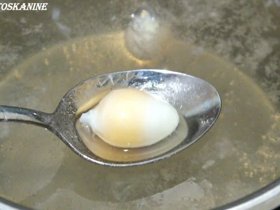 Rezept: Wilder Salat mit frittierten Wachteleiern Bild Nr. 5 Wilder Salat mit frittierten Wachteleiern - Rezept - Bild Nr. 5