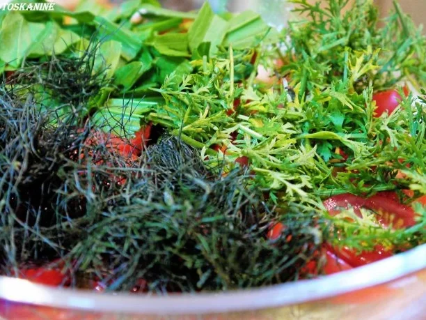 Rezept: Wilder Salat mit frittierten Wachteleiern Bild Nr. 16 Wilder Salat mit frittierten Wachteleiern - Rezept - Bild Nr. 16