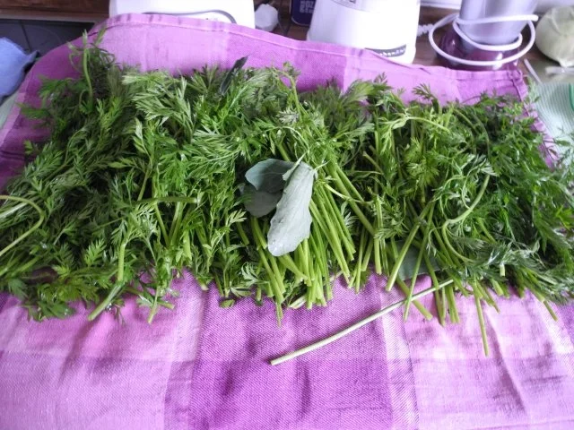 Vorräte : Gemüsebrühe / Gemüse-Salz selbstgemacht...eine weitere Variante - Rezept - Bild Nr. 5