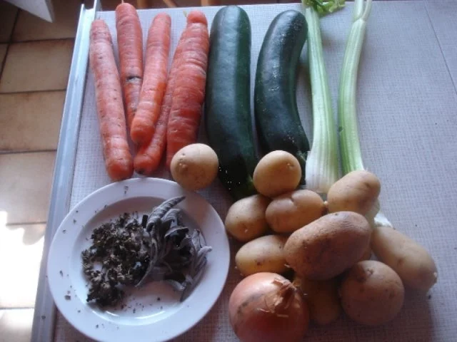 Rezept: Möhren-Zucchini-Blüten-Eintopf Bild Nr. 2 Möhren-Zucchini-Blüten-Eintopf - Rezept - Bild Nr. 2