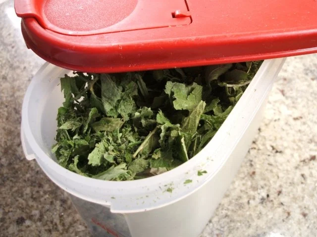 Vorrat: Fruchtige Teemischung - Rezept - Bild Nr. 4