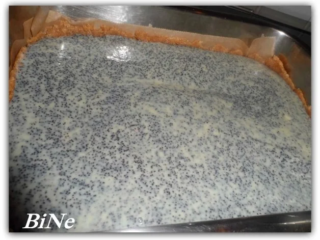 Rezept: BiNe` S APFEL - MOHNKUCHEN Bild Nr. 5 BiNe` S APFEL - MOHNKUCHEN - Rezept - Bild Nr. 5