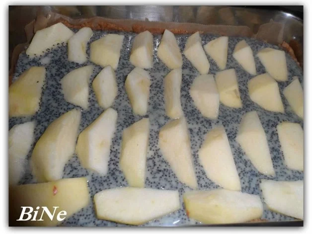 Rezept: BiNe` S APFEL - MOHNKUCHEN Bild Nr. 6 BiNe` S APFEL - MOHNKUCHEN - Rezept - Bild Nr. 6