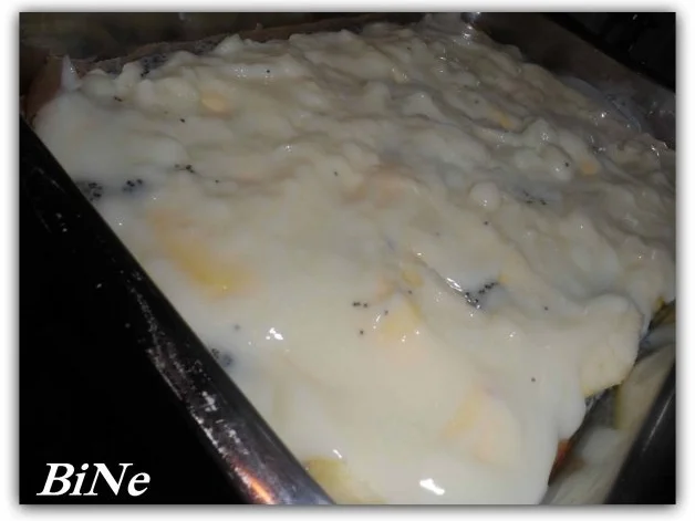 Rezept: BiNe` S APFEL - MOHNKUCHEN Bild Nr. 7 BiNe` S APFEL - MOHNKUCHEN - Rezept - Bild Nr. 7