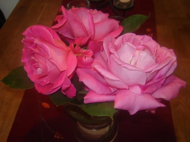 Rezept: Rosensirup Bild Nr. 2 Rosensirup - Rezept - Bild Nr. 2