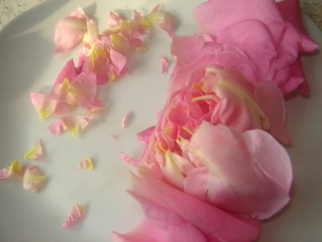 Rezept: Rosensirup Bild Nr. 5 Rosensirup - Rezept - Bild Nr. 5