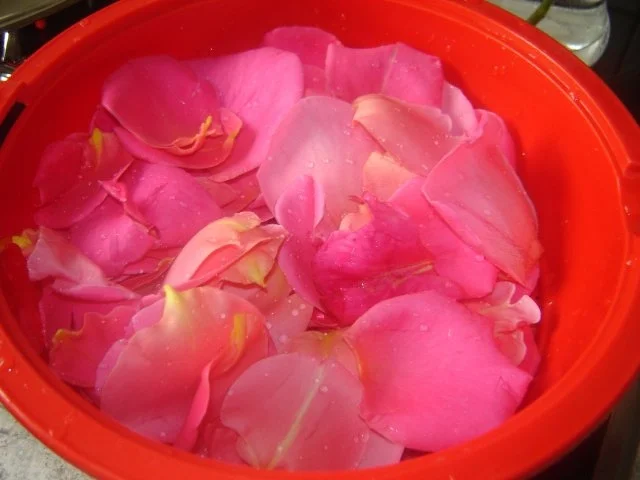 Rezept: Rosensirup Bild Nr. 6 Rosensirup - Rezept - Bild Nr. 6
