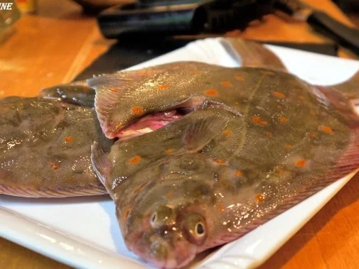 Scholle Finkenwerder Art, Minzgurken, Knusperkartoffeln - Rezept - Bild Nr. 13