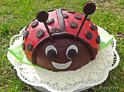 Marienkäfer fliegt .... - Rezept