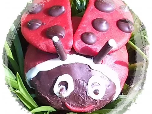 Rezept: Marienkäfer fliegt .... Bild Nr. 5 Marienkäfer fliegt .... - Rezept - Bild Nr. 5