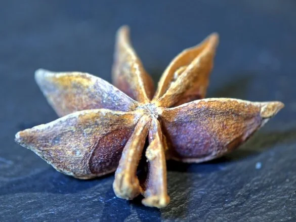 Geflügelleber-Terrine - Rezept - Bild Nr. 2