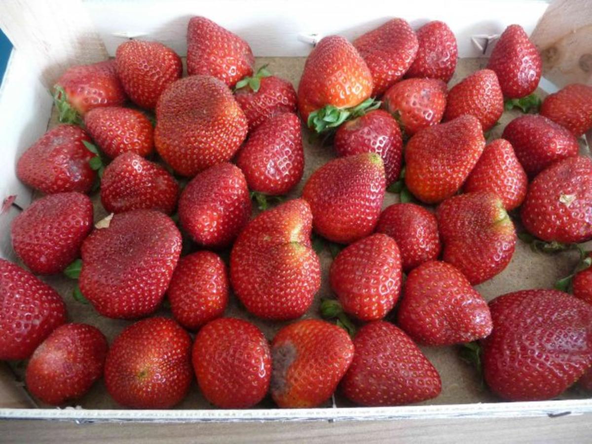 Dessert : Joghurt mit frischen Erdbeeren - Rezept - Bild Nr. 5