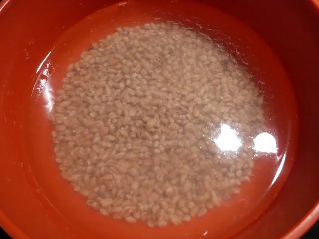 Graupensuppe mit Rindfleischeinlage. - Rezept - Bild Nr. 2