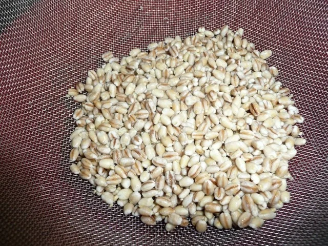 Graupensuppe mit Rindfleischeinlage. - Rezept - Bild Nr. 5