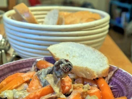 Rezept: Huhn in Zimtsauce mit jungen Möhren Bild Nr. 11 Huhn in Zimtsauce mit jungen Möhren - Rezept - Bild Nr. 11