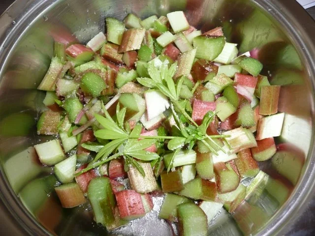 Rhabarber - Erdbeer - Kompott - Rezept - Bild Nr. 2