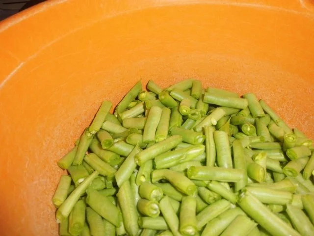 Rezept: Grüne Bohnensuppe Grüne Bohnensuppe - Rezept