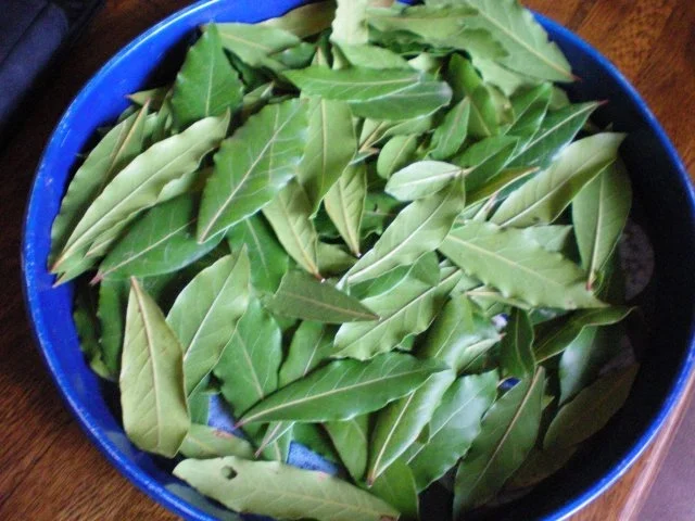 Rezept: Wildschweinbraten mit Lorbeer Bild Nr. 3 Wildschweinbraten mit Lorbeer - Rezept - Bild Nr. 3