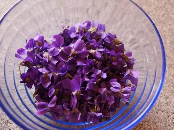 Veilchen-Thymian Sirup - Rezept