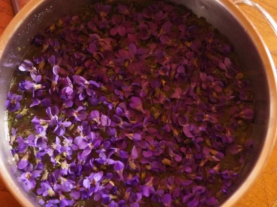 Veilchen-Thymian Sirup - Rezept - Bild Nr. 3