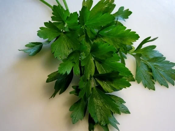 Rezept: Mark-Klößchen Bild Nr. 3 Mark-Klößchen - Rezept - Bild Nr. 3