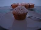 Mohn- Heidelbeer- Muffins - Rezept
