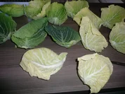 Zauberröllchen Eigenkreation. - Rezept