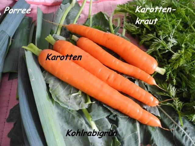 Vorräte :  Getrocknete Gemüseeinlagen - Rezept - Bild Nr. 3