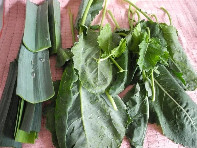 Vorräte :  Getrocknete Gemüseeinlagen - Rezept - Bild Nr. 9