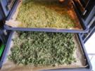 Vorräte :  Getrocknete Gemüseeinlagen - Rezept